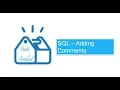 SQL - Adding Comments