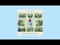 Hannah Cohen - Earthstar Mountain (Full Album)