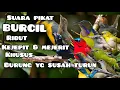 Download Lagu suara pikat burung kecil ribut kejepit dan menjerit..💯%ampuh spesial burung susah turun #mp3pikat