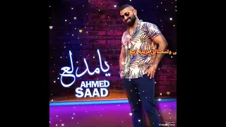 يا مدلع احمد سعد  يا مدلع احمد سعد