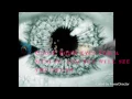 Mohamed foaud Law  English subtitle