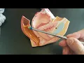 Large intestine rectum and anus