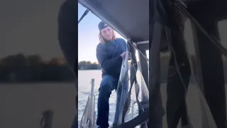 Winter sailing just got a little more comfortable! #sailinglife #sailingtheworld #boatlife