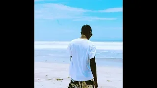 wizkid fever video 