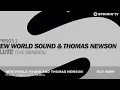 New World Sound & Thomas Newson - Flute (Uberjak'd Remix)