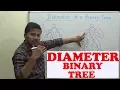 Diameter of a Binary Tree Code Algorithm