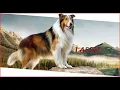 Download Lagu Lassie Pelicula Familiar Completa Español Latino 1