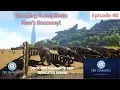 Shocking Tranq Darts - Finn s Raceway E40 Xbox One Ark Survival Evolved Ragnarok Map