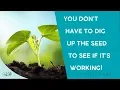You Don’t Have to Dig Up the Seed to See If It’s Working!