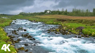 الطبيعة الساحره صوت الانهار صوت المطر والطيور لتهدئة الاعصاب Relaxing Nature Sounds 4k 