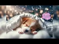 【Induces a good night's sleep, relieves brain fatigue】🌙 and refreshes you the next morning.