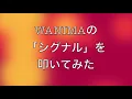 【WANIMA】「シグナル」を叩いてみた【ドラム】