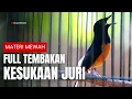 Lagu MURAI BATU GACOR FULL ISIAN TEMBAKAN MEWAH SANGAT AMPUH MELATIH MURAI BATU EMOSI BONGKAR ISIAN