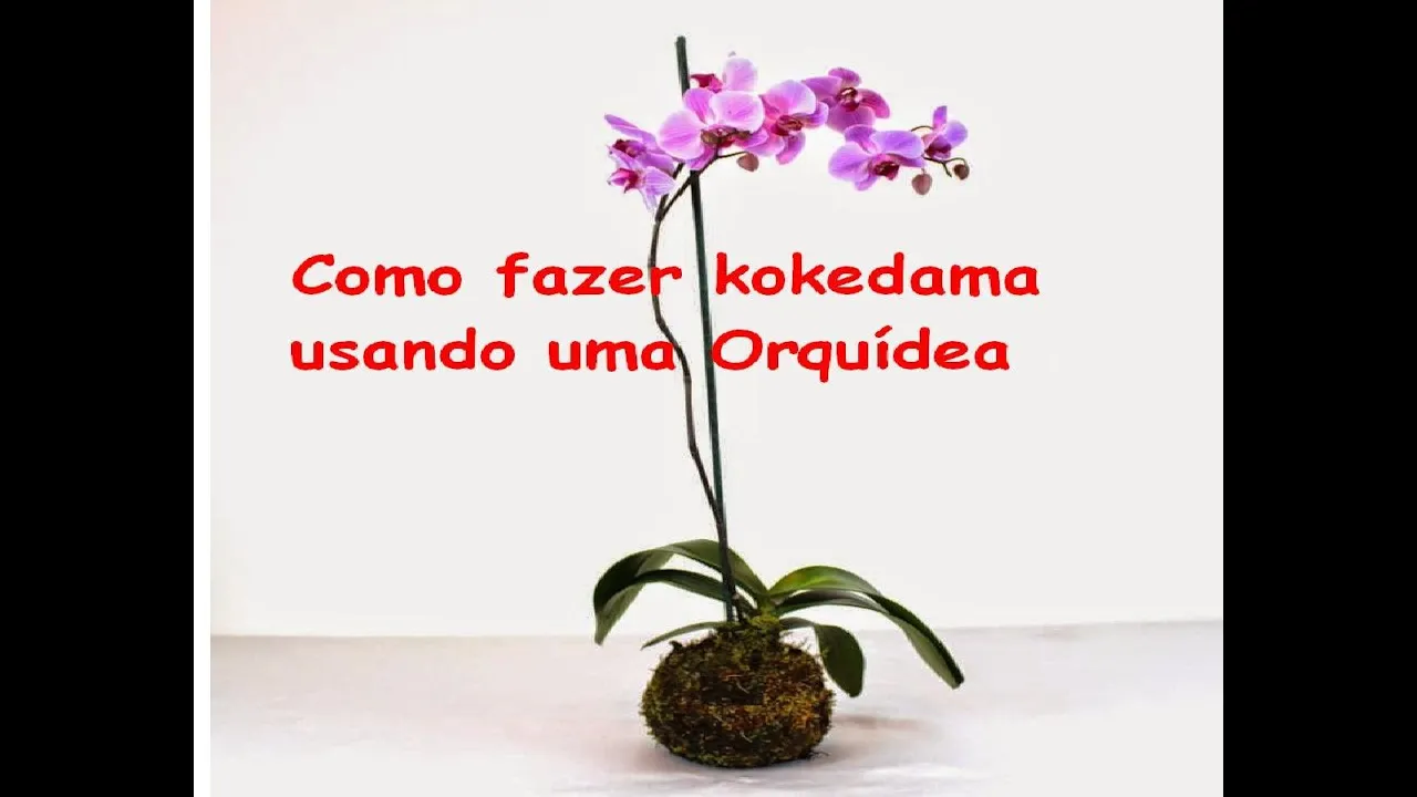 KOKEDAMA COM ORQUIDEA