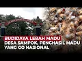 Download Lagu Kisah Desa Sampok, Sentra Budidaya Lebah Madu yang Go Nasional | OneNews Update