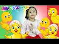 Download Lagu LAGU LIMA ANAK AYAM KECIL | Five Little Chicks | LAGU ANAK INDONESIA POPULER