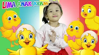 Download LAGU LIMA ANAK AYAM KECIL | Five Little Chicks | LAGU ANAK INDONESIA POPULER MP3