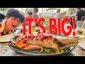 Big Island Hawaii Food Tour Top 5 Fine Dining Restaurants
