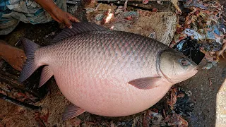 Never Seen!!! 5Kg Live Rohu Fish Cutting & Cleaning Skills | Amazing Rohu Excellent Fish Cutting