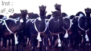 شيلة في ابن مرسان الهاجري ادا حمد الطويل المري 