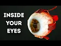 Download Lagu What Happens Inside Your Eyes - 3D Animation