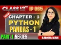 Class 12 IP Python Pandas I Series Explained in 1 Shot Score Practical Theory Barkha Mam