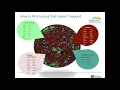 Dr James Wilmott - CODEX multiplex image mapping to scRNAseq in immunotherapy treated melanoma
