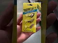 Download Lagu 5 Umpan \u0026 Umpan Terbaik untuk Memancing Ikan Trout!