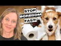 STOP Your Dog s Boredom FAST Fun Games Puzzle Toys Chews