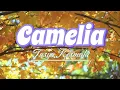 CAMELIA  ][  Tasya Rosmala  ( Lirik Lagu )