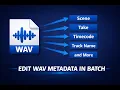 Edit WAV Metadata in Batch Scene Take Track Names bEXT iXML - Wave Copilot