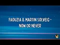 Faouzia & Martin Solveig - Now Or Never (Lyrics)