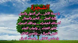 أنشودة الشجرة السنة الرابعة ابتدائي المعلم فريد Farid Messali  أنشودة الشجرة السنة الرابعة ابتدائي المعلم فريد Farid Messali
