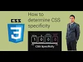 CSS 05 -