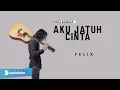 Download Lagu AKU JATUH CINTA BROERY MARANTIKA FELIX IRWAN