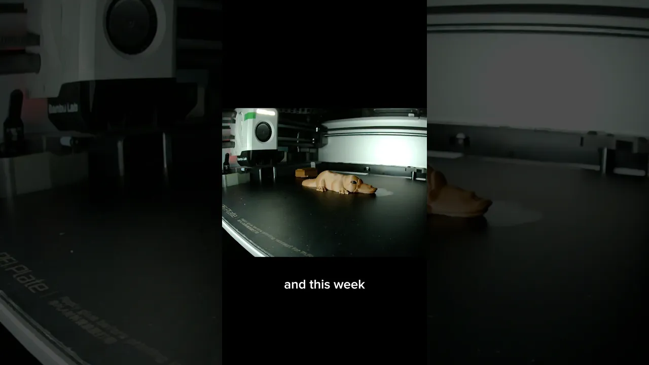 Platypus video thumbnail