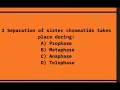 Mitosis with cycle