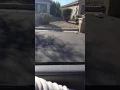 Cactus jacks car az