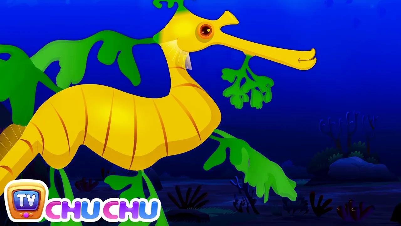 Leafy Sea Dragon Nursery Rhyme | ChuChuTV Sea World | Animal Songs & Nursery Rhymes For Children
