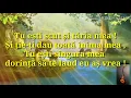 Download Lagu NEGATIV -CUM.DORESTE UN CERB IZVOR DE APA (CORNEL STOICA )-2019