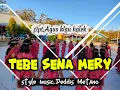 Download Lagu TEBE SENA  MERY REMIX 2025 