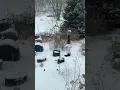 Relaxing Jazz, Snow, and Birds