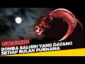 Download Lagu Domba Salisih yang Datang Setiap Bulan Purnama - Ekspedisi Merah