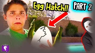 Download MYSTERY NEST Hatch! Game TRIXSTER Mystery Message Adventure by HobbyKidsTV MP3