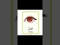 Download Lagu Bahasa Arab anggota Tubuh (Kepala) #shorts #bahasaarab