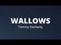 [LYRICS+VIETSUB] WALLOWS - Tommy Docherty (From The Next 365 Days)