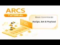 AUBO ARCS Basic Commands - Assign Set Payload
