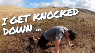 i get knocked down a fitting song haa day 31 32 60 weight loss journey running challenge