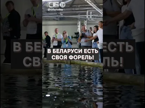 НЕ ТОЛЬКО КРЕВЕТКИ! В Беларуси тонны красной рыбы выращивают сами
