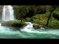 Relaxing Music For Stress Relief Anxiety and Depressive States Heal Mind Body and Soul